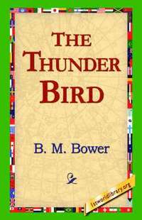 bokomslag Thunder Bird