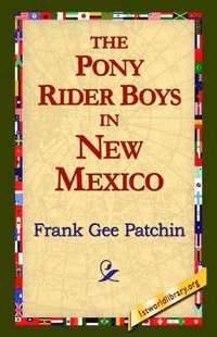 bokomslag The Pony Rider Boys in New Mexico