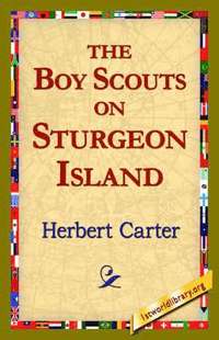 bokomslag The, Boy Scouts on Sturgeon Island
