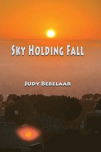 bokomslag Sky Holding Fall