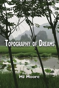 bokomslag Topography of Dreams