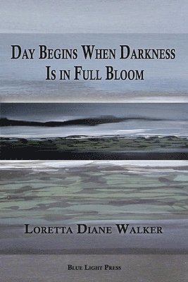 Day Begins When Darkness Is in Full Bloom 1