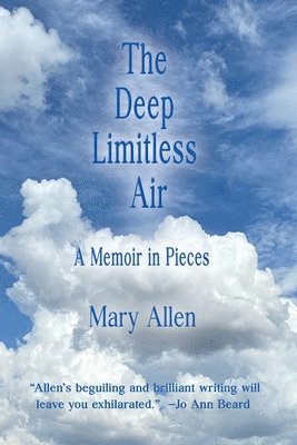Mary Allen - Deep Limitless Air A Memoir in Pieces, Häftad