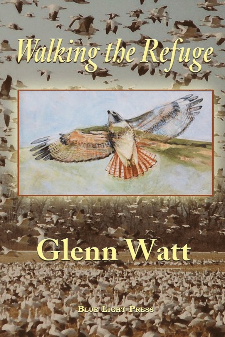 Glenn Watt - Walking the Refuge, Häftad