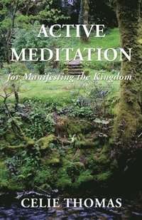 bokomslag Active Meditation for Manifesting the Kingdom