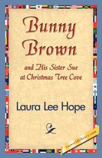 bokomslag Bunny Brown and His Sister Sue at Christmas Tree Cove