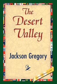 bokomslag Desert Valley