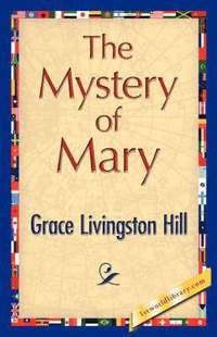 bokomslag The Mystery of Mary