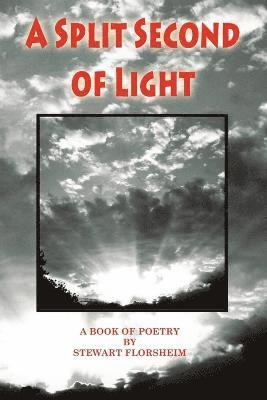 Stewart Florsheim, STEWART FLORSHEIM, Blue Light Press - Split Second of Light, Häftad