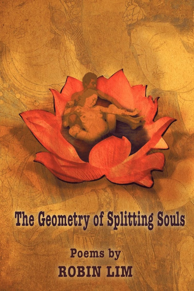 The Geometry of Splitting Souls 1