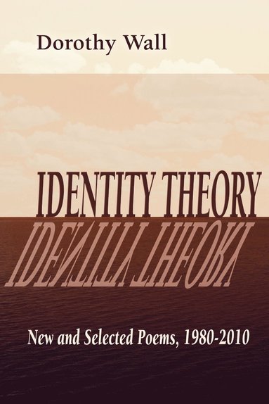 bokomslag Identity Theory