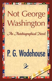 bokomslag Not George Washington