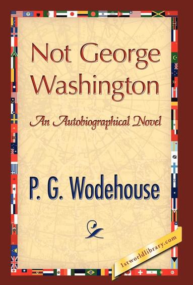 bokomslag Not George Washington