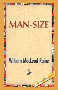 bokomslag Man Size