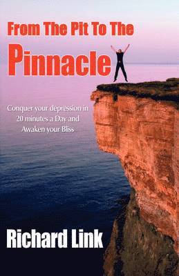 Richard Link, 1stworld Library, 1stworld Publishing - From The Pit To The Pinnacle, Inbunden