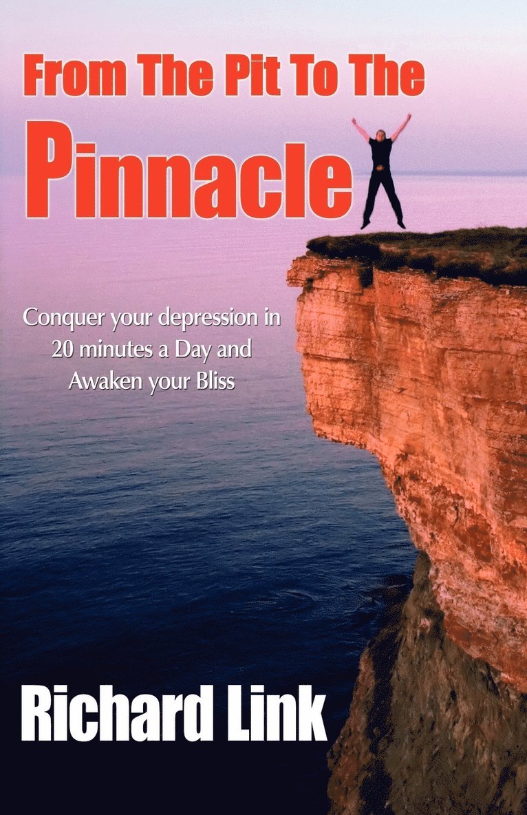 Richard Link, 1st World Publishing, 1stworld Publishing - From the Pit to the Pinnacle, Häftad