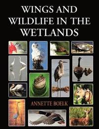 bokomslag Wings and Wildlife in the Wetlands