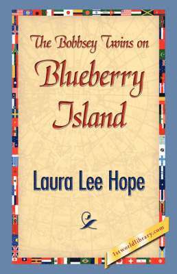 bokomslag The Bobbsey Twins on Blueberry Island