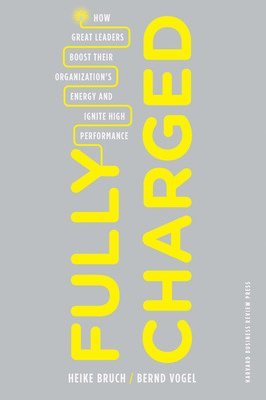 Heike Bruch, Bernd Vogel - Fully Charged, Inbunden