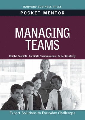 bokomslag Managing Teams