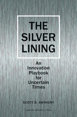 bokomslag Silver Lining