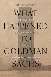 bokomslag What Happened to Goldman Sachs