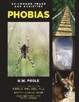 bokomslag Phobias
