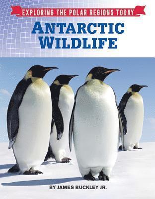 bokomslag Antarctic Wildlife