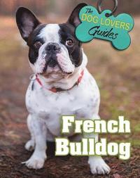 bokomslag French Bulldog