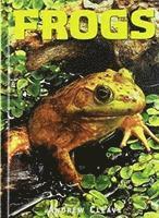 Frogs 1