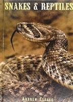 bokomslag Snakes & Reptiles
