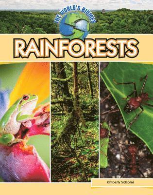 bokomslag World Biomes: Rainforests