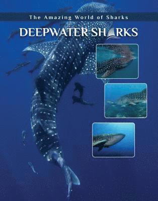 bokomslag Deepwater Sharks