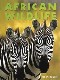bokomslag African Wildlife