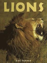 bokomslag Lions