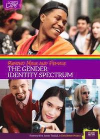 bokomslag Beyond Male and Female: The Gender Identity Spectrum