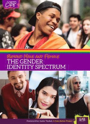 bokomslag Beyond Male and Female: The Gender Identity Spectrum