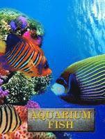 bokomslag Aquarium Fish
