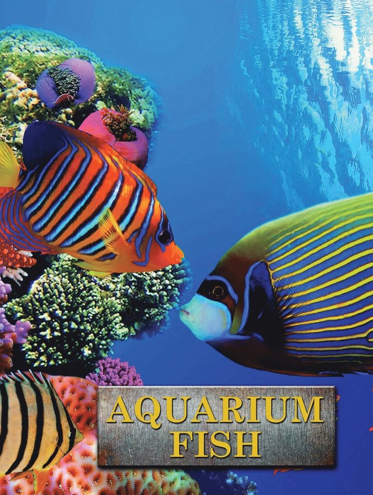 Andrew Cleave - Aquarium Fish, Inbunden