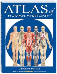 bokomslag Atlas of Human Anatomy