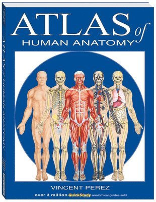 Atlas of Human Anatomy 1