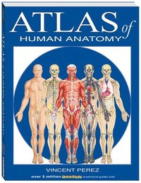 bokomslag Atlas of the Human Anatomy: A Quickstudy Reference