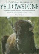 Nelson Erikson - Pictorial Souvenir of Yellowstone, Häftad