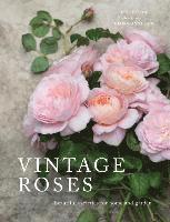 bokomslag Vintage Roses: Beautiful Varieties for Home and Garden