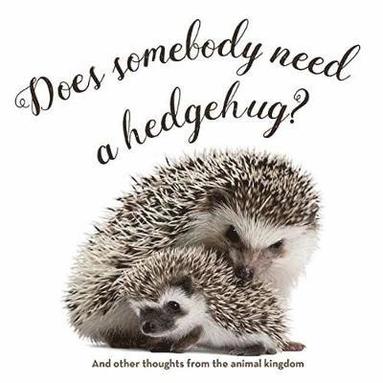 bokomslag Does Somebody Need a Hedgehug?