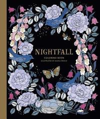 bokomslag Nightfall Coloring Book