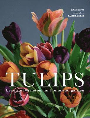 bokomslag Tulips