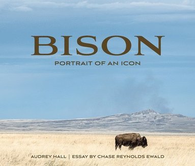 bokomslag Bison: Portrait of an Icon