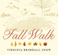 bokomslag Fall Walk, Paperback