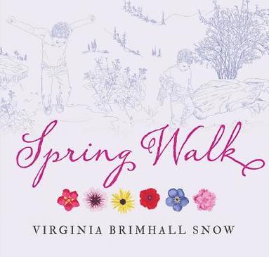 bokomslag Spring Walk, Paperback